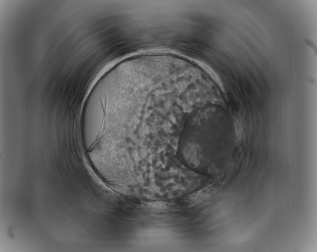X0000097790911200804041233