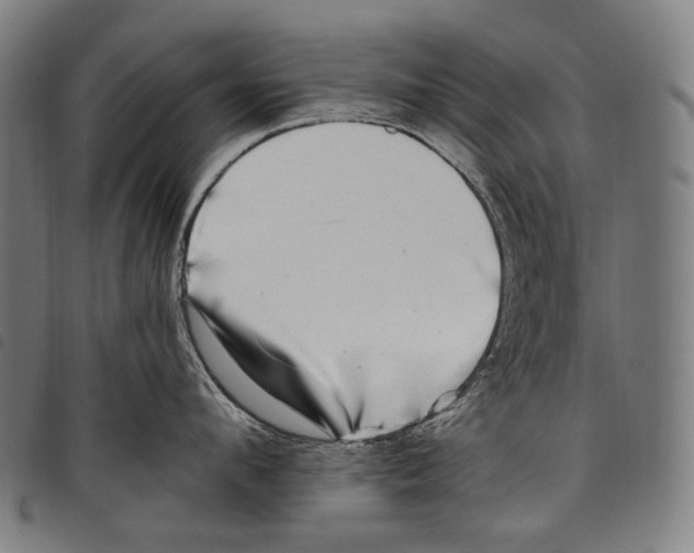 X0000097790912200804041233