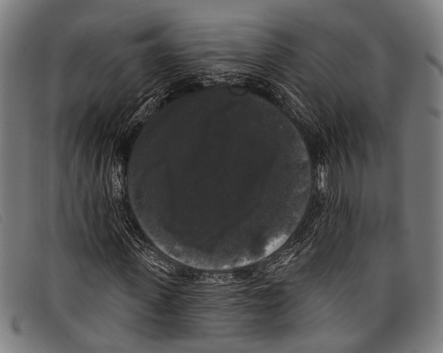X0000097790915200804041232