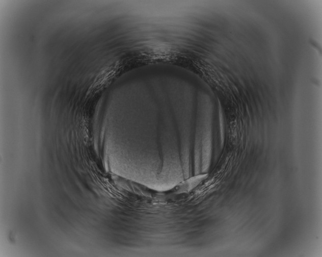 X0000097790916200804041232