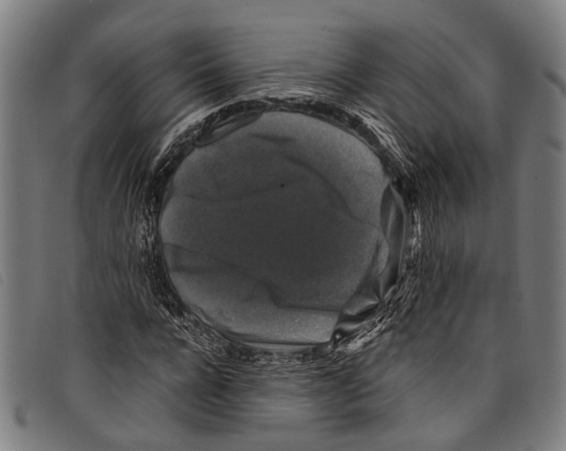 X0000097790920200804041232