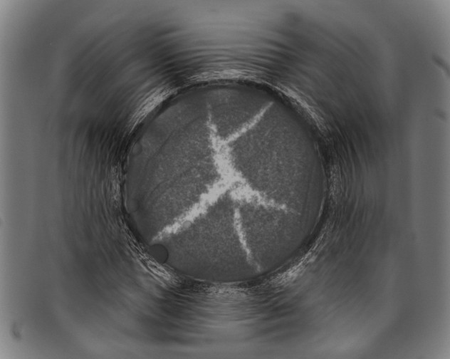 X0000097790921200804041232