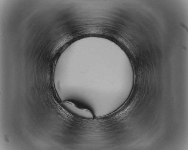 X0000097790922200804041232