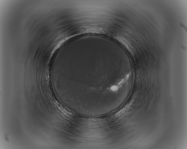 X0000097790923200804041232