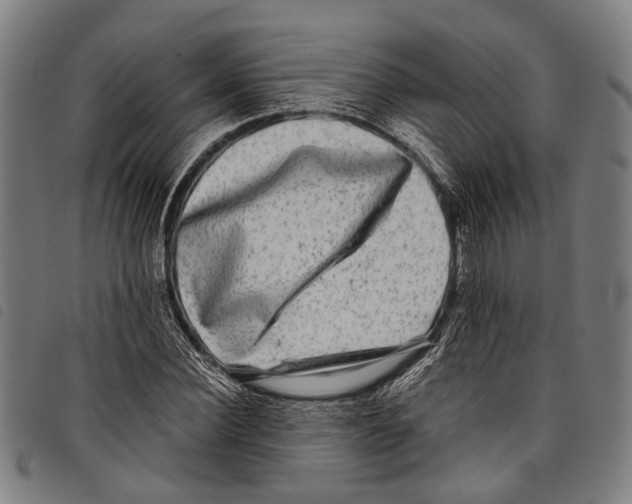 X0000097790924200804041232