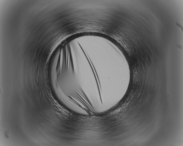 X0000097790926200804041232