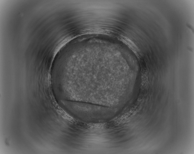 X0000097790928200804041232