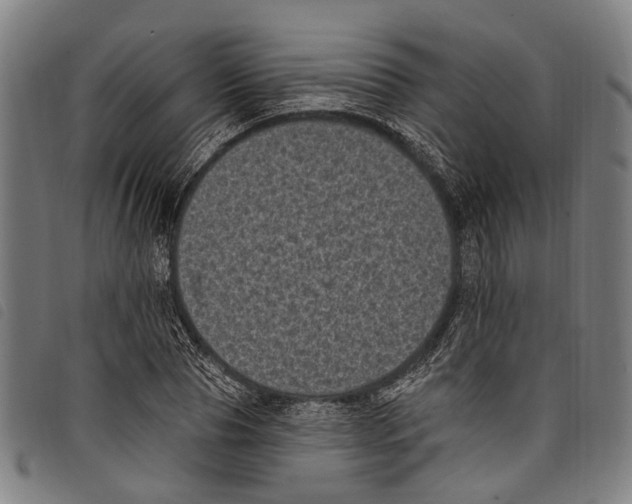 X0000097790929200804041232