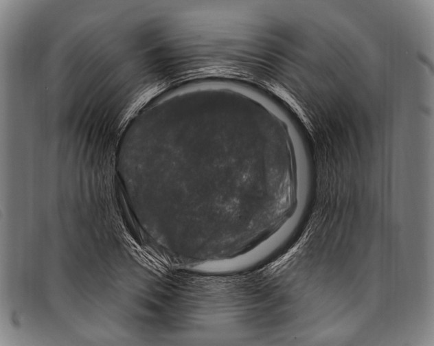 X0000097790930200804041232