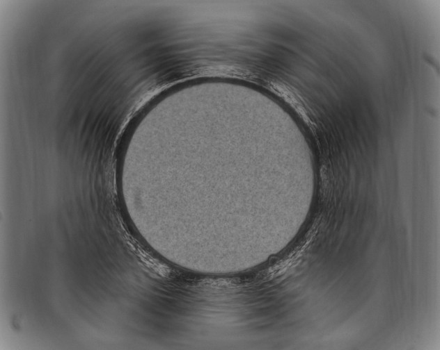 X0000097790931200804041232