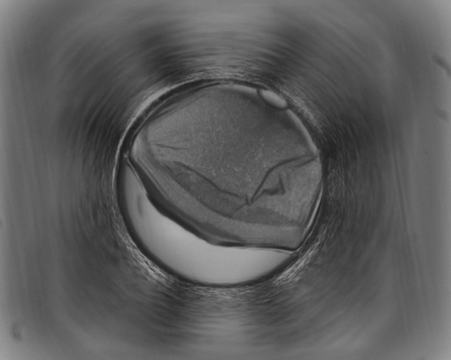 X0000097790932200804041232