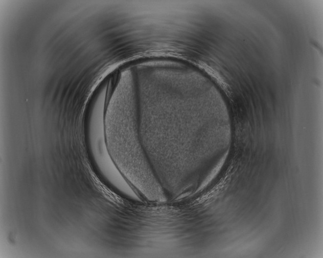 X0000097790934200804041232