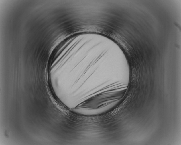 X0000097790936200804041232