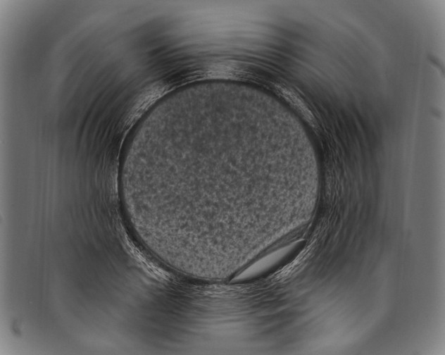 X0000097790938200804041233