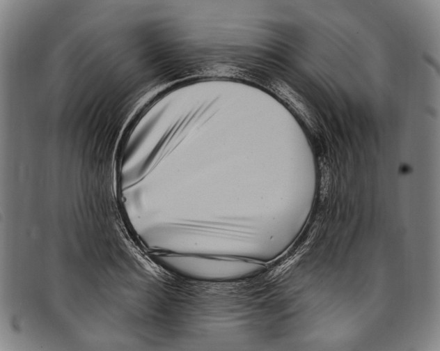 X0000097790940200804041233