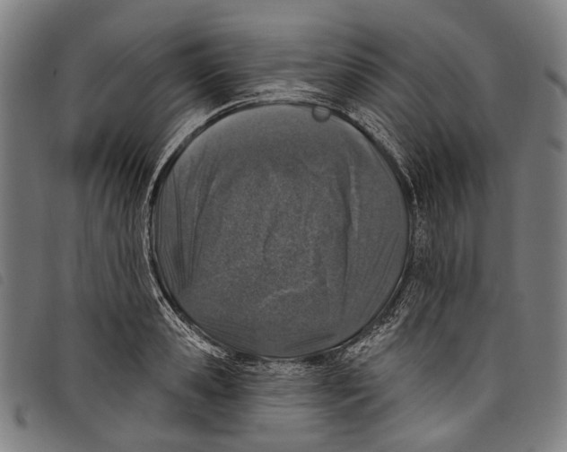 X0000097790941200804041233