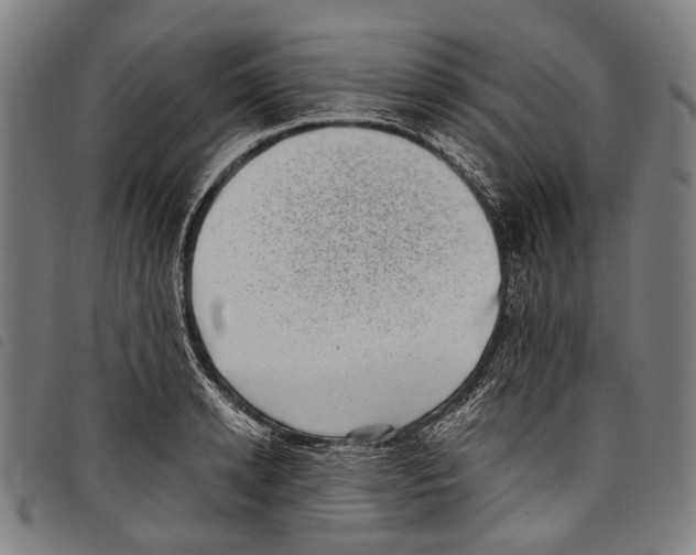 X0000097790942200804041233