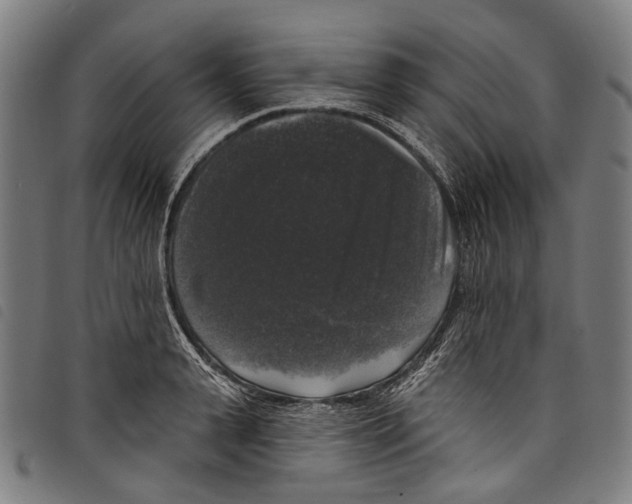 X0000097790943200804041233