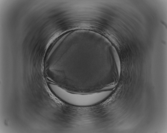 X0000097790944200804041233