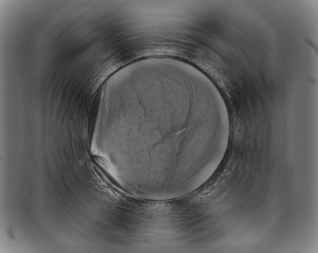 X0000097790945200804041233