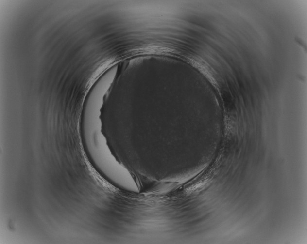 X0000097790946200804041233