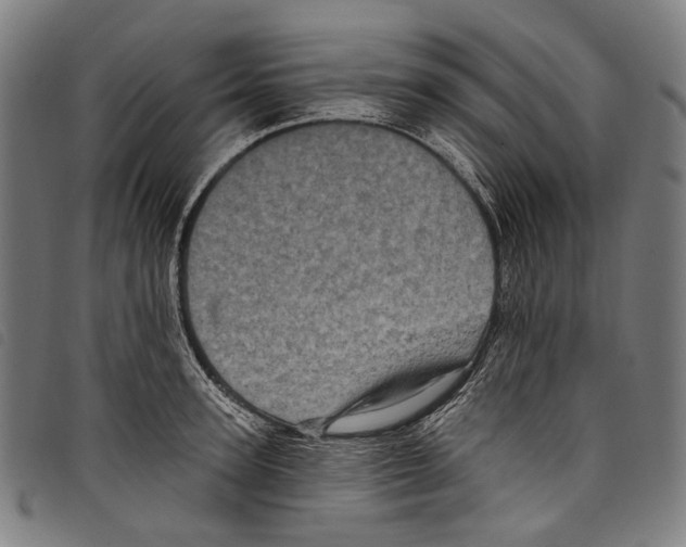 X0000097790947200804041233