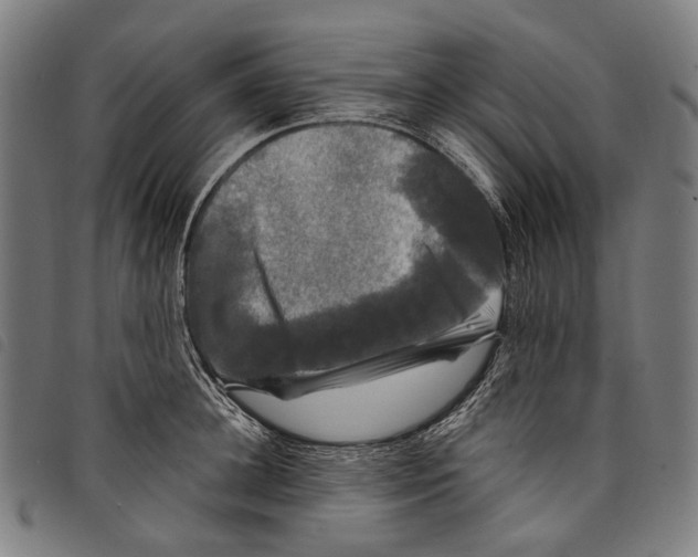 X0000097790948200804041233