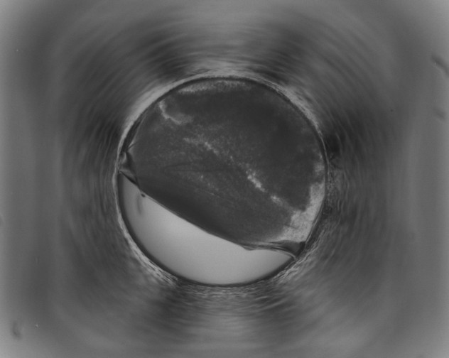 X0000097790951200804041233