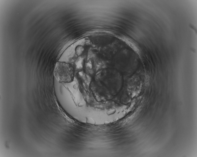 X0000097790953200804041233