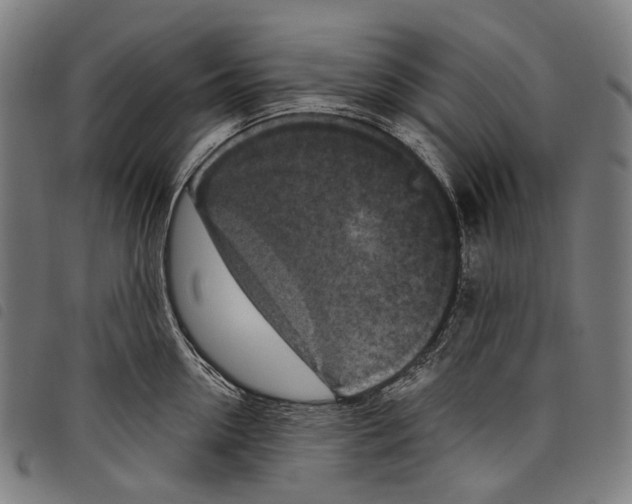 X0000097790954200804041233