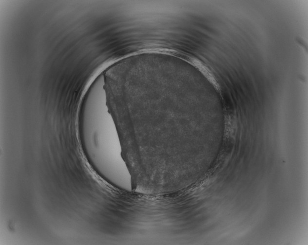 X0000097790955200804041233