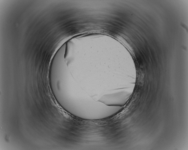 X0000097790956200804041233