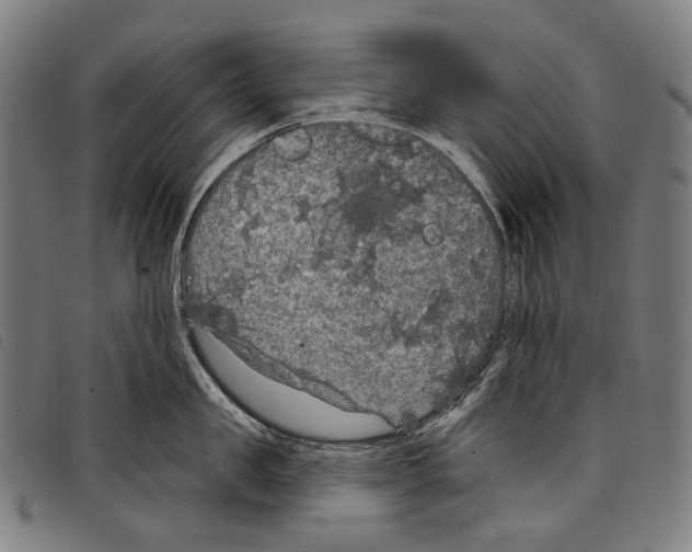X0000097790957200804041233