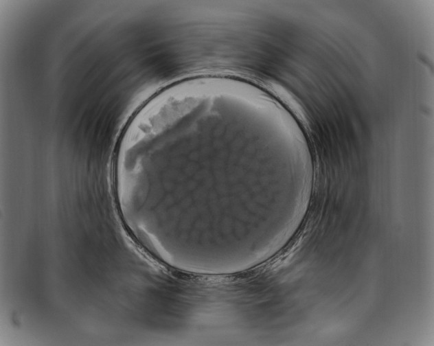 X0000097790958200804041233