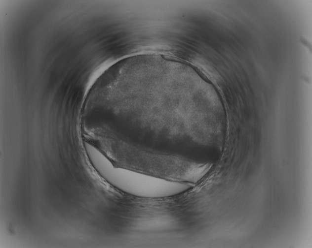 X0000097790960200804041233