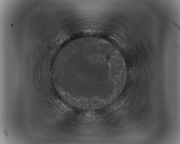 X0000097790961200804041232