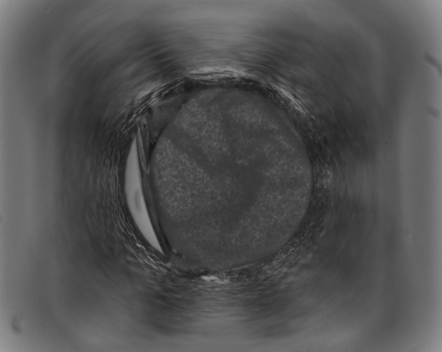 X0000097790965200804041232