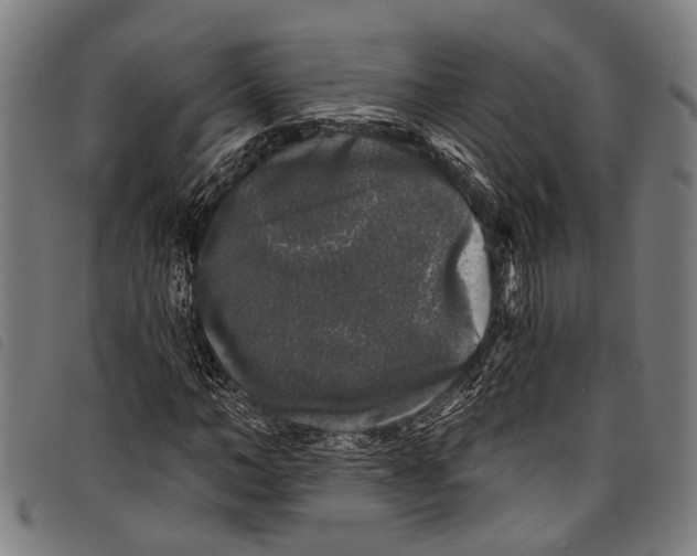 X0000097790966200804041232