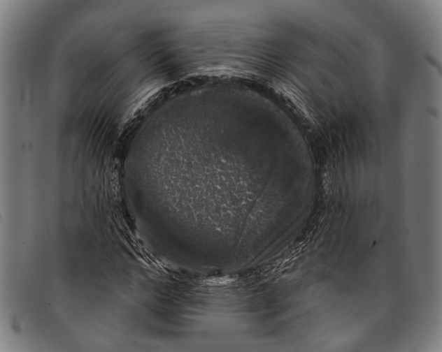 X0000097790968200804041232