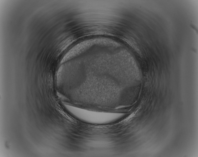 X0000097790969200804041232