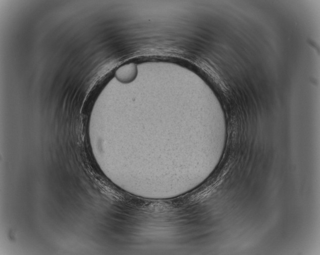 X0000097790974200804041232