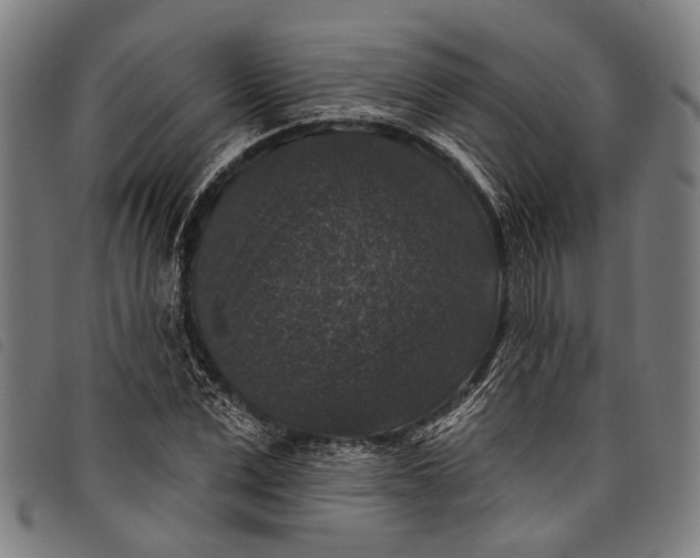 X0000097790975200804041232