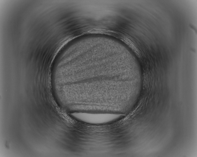 X0000097790976200804041232