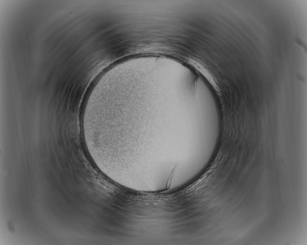 X0000097790980200804041232