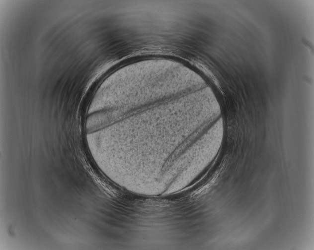 X0000097790981200804041232
