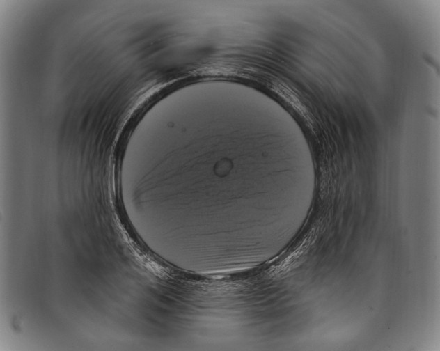 X0000097790984200804041232