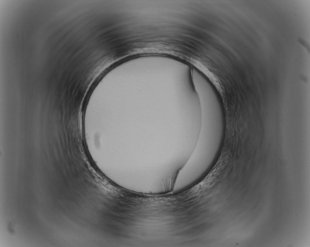 X0000097790988200804041231