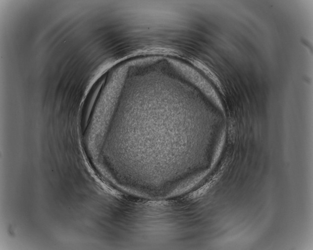 X0000097790989200804041231