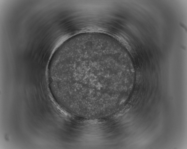 X0000097790990200804041231