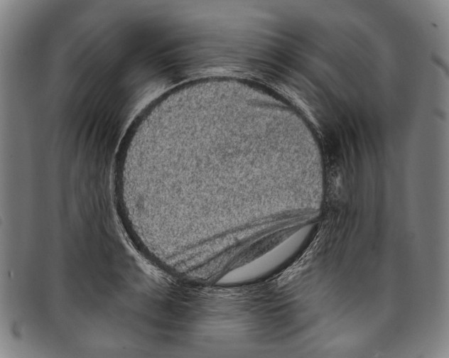 X0000097790991200804041231